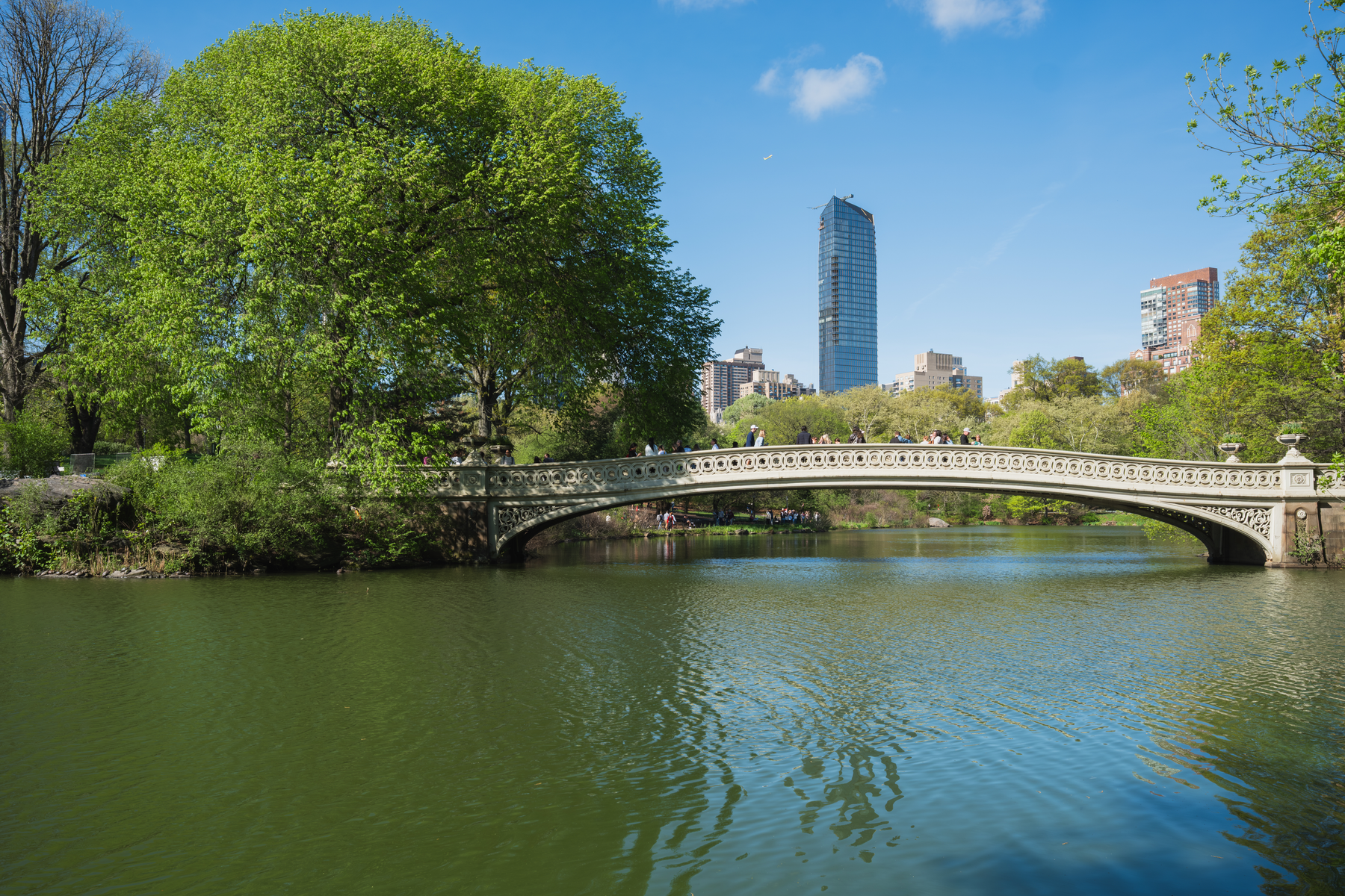 Bow Bridge, spring trees, and the Manhattan skyline in Central Park